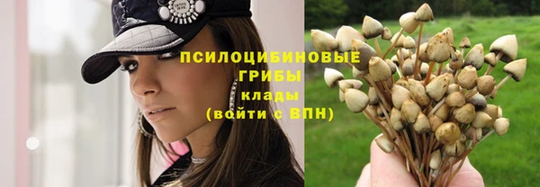 mdpv Алексеевка