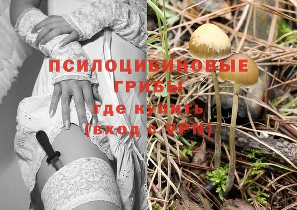 ешки Алзамай