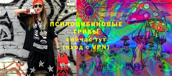 крисы Алексин