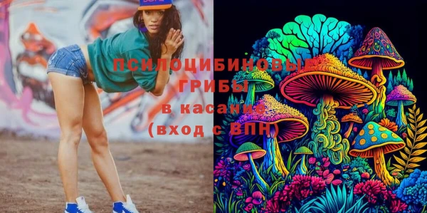 крисы Алексин
