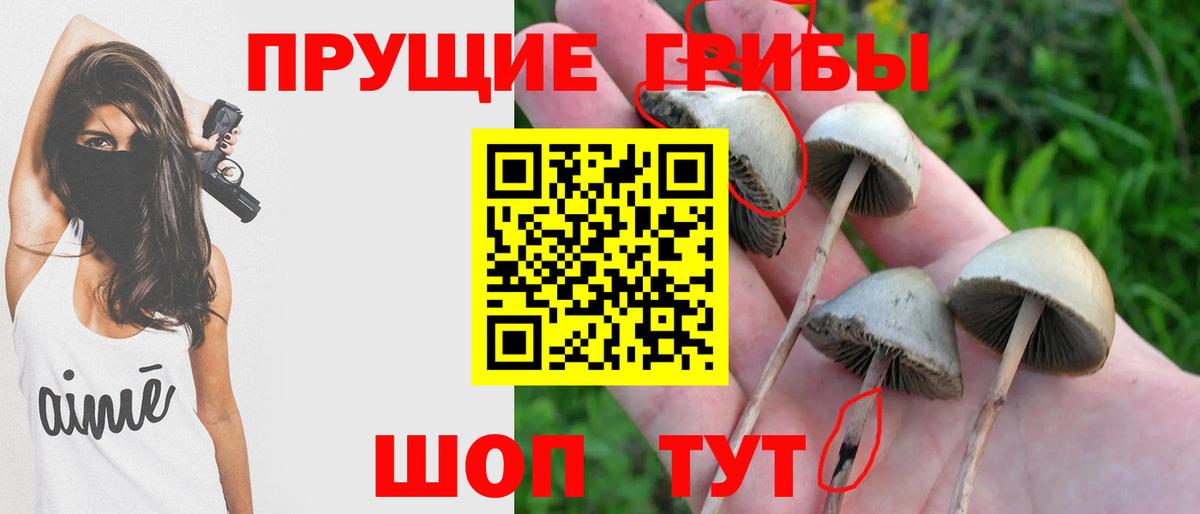 Североуральск  Псилоцибиновые грибы ЛСД  Вход с VPN 
